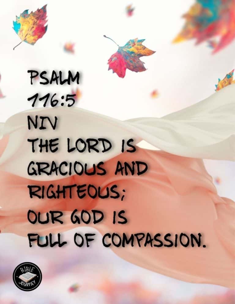 Picture Bible Verses-19 Share a picture bible verse. Use in bible study journals, or make study cards. Postcard sized 4.25x5.5.