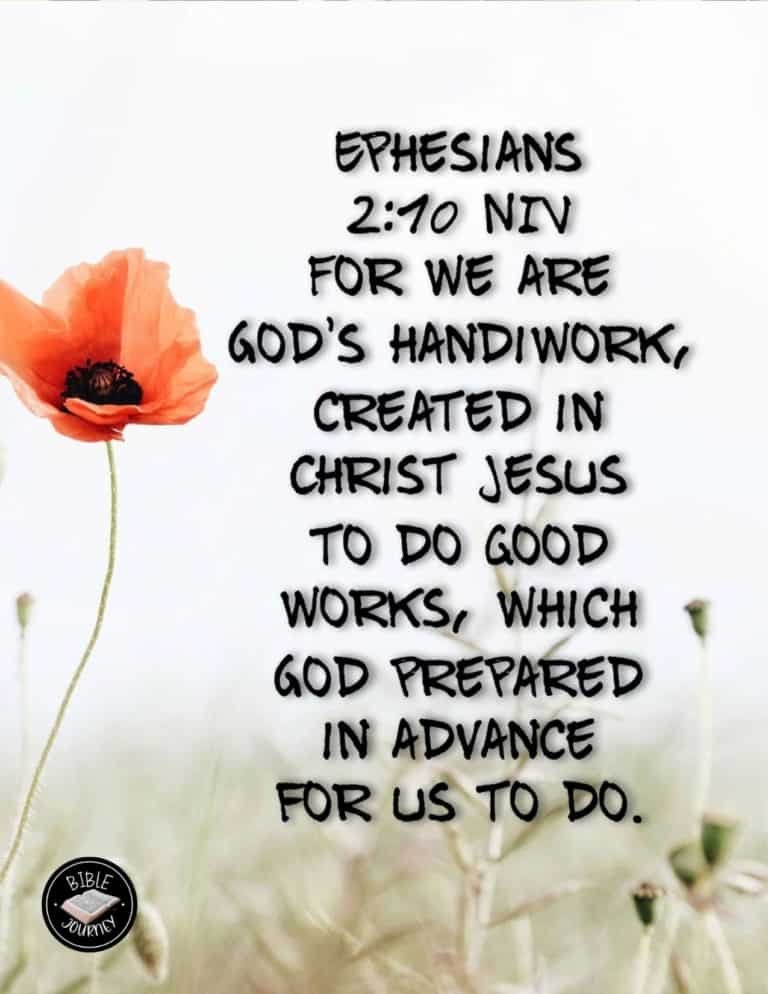 Picture Bible Verses-20 Share a picture bible verse. Use in bible study journals, or make study cards. Postcard sized 4.25x5.5.