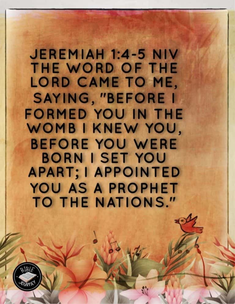 Picture Bible Verses-20 Share a picture bible verse. Use in bible study journals, or make study cards. Postcard sized 4.25x5.5.