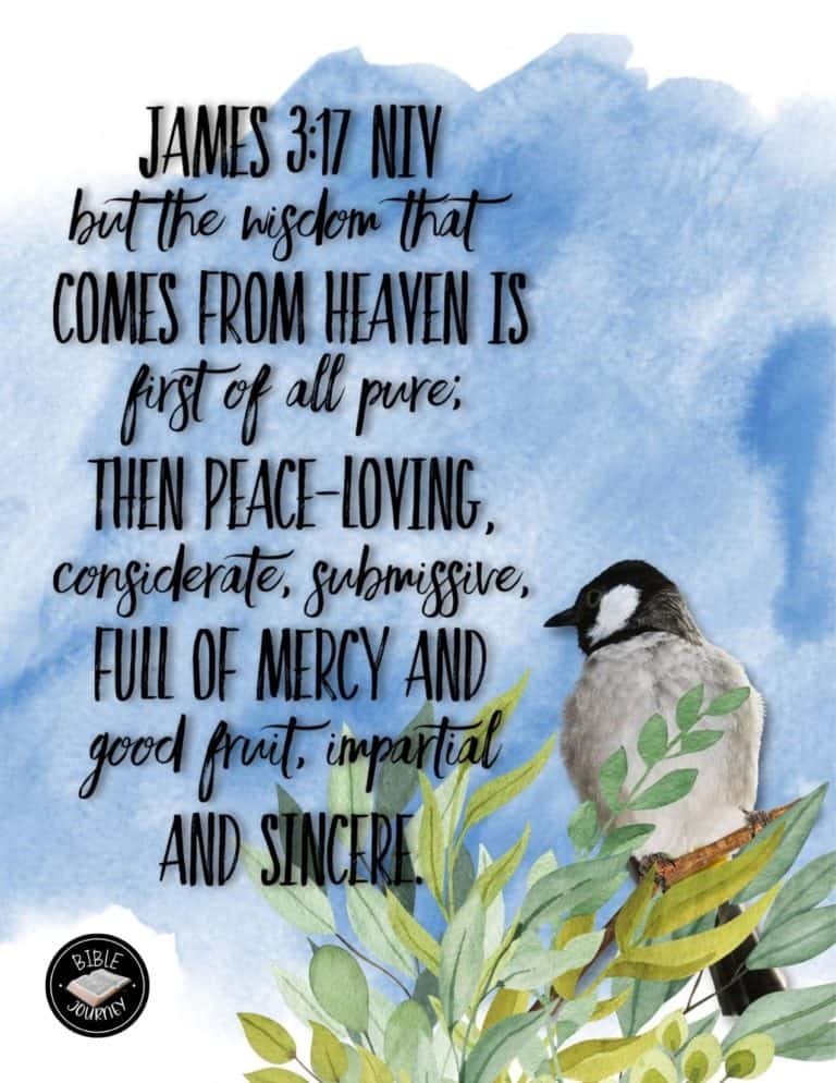 Picture Bible Verses-20 Share a picture bible verse. Use in bible study journals, or make study cards. Postcard sized 4.25x5.5.