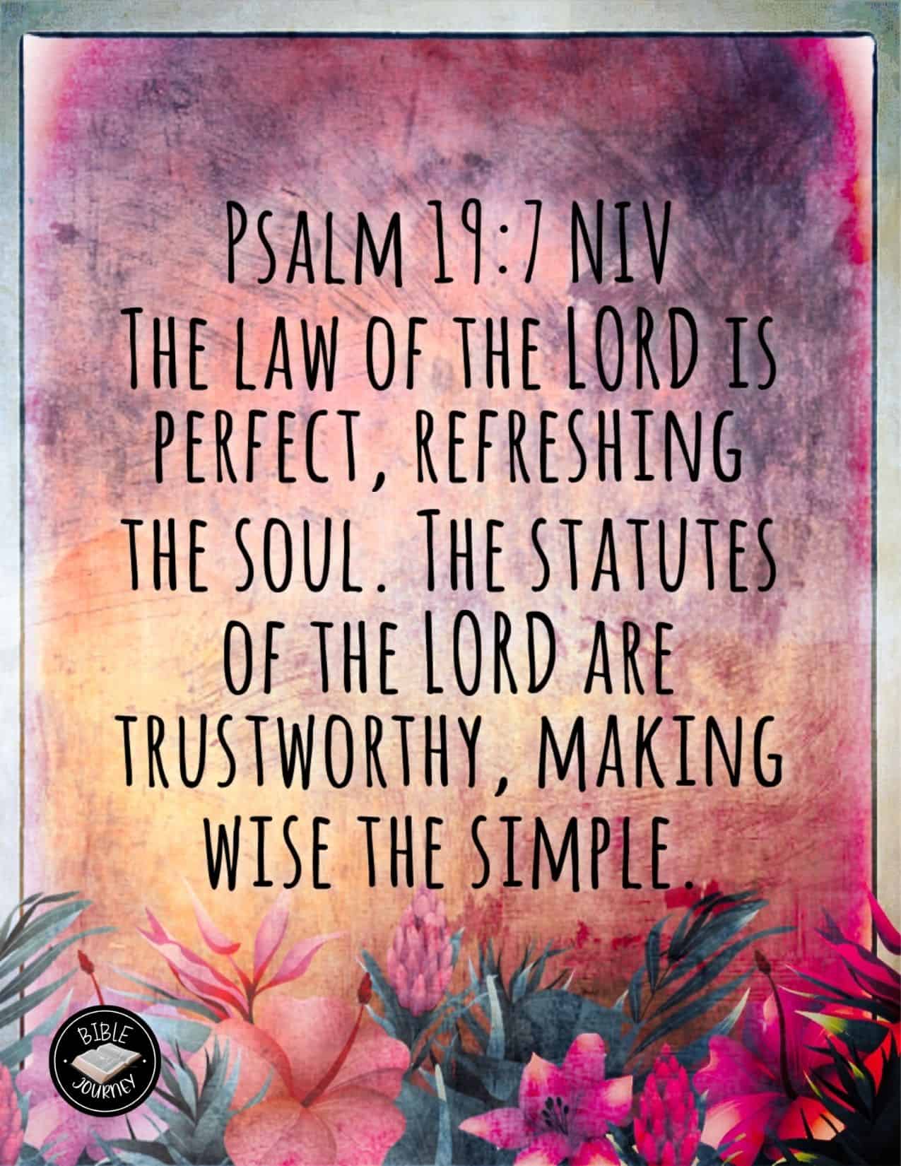 Psalm 19 7 8 Meaning