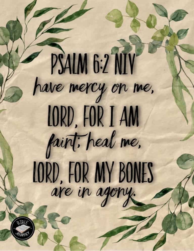 Picture Bible Verses-20 Share a picture bible verse. Use in bible study journals, or make study cards. Postcard sized 4.25x5.5.