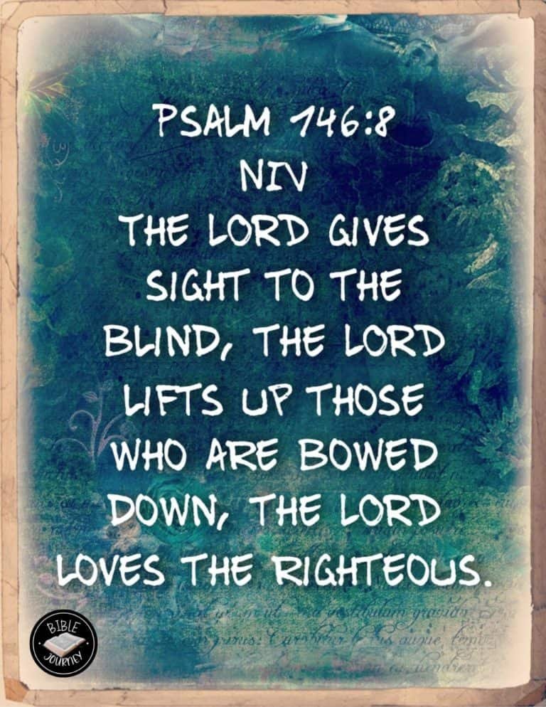 Picture Bible Verses-21 Psalm 146:8 NIV - Bible Verse Image.