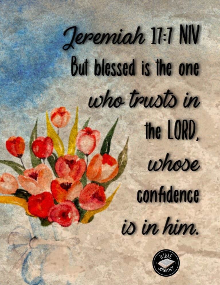 Picture Bible Verses-21 Jeremiah 17:7 NIV. Bible Verse Image.