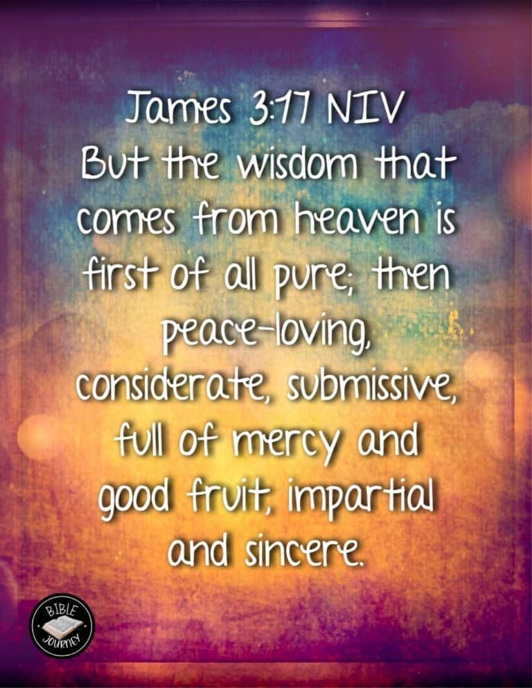 Picture Bible Verses-21 James 3:17 NIV. Picture Bible Verse.