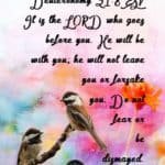 Comforting Bible Verse Deuteronomy 31:8 ESV