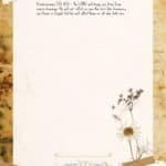 [Deuteronomy 7:15 NIV] The LORD will keep you free from every disease. He will not inflict on you the horrible diseases you knew in Egypt, but he will inflict them on all who hate you.