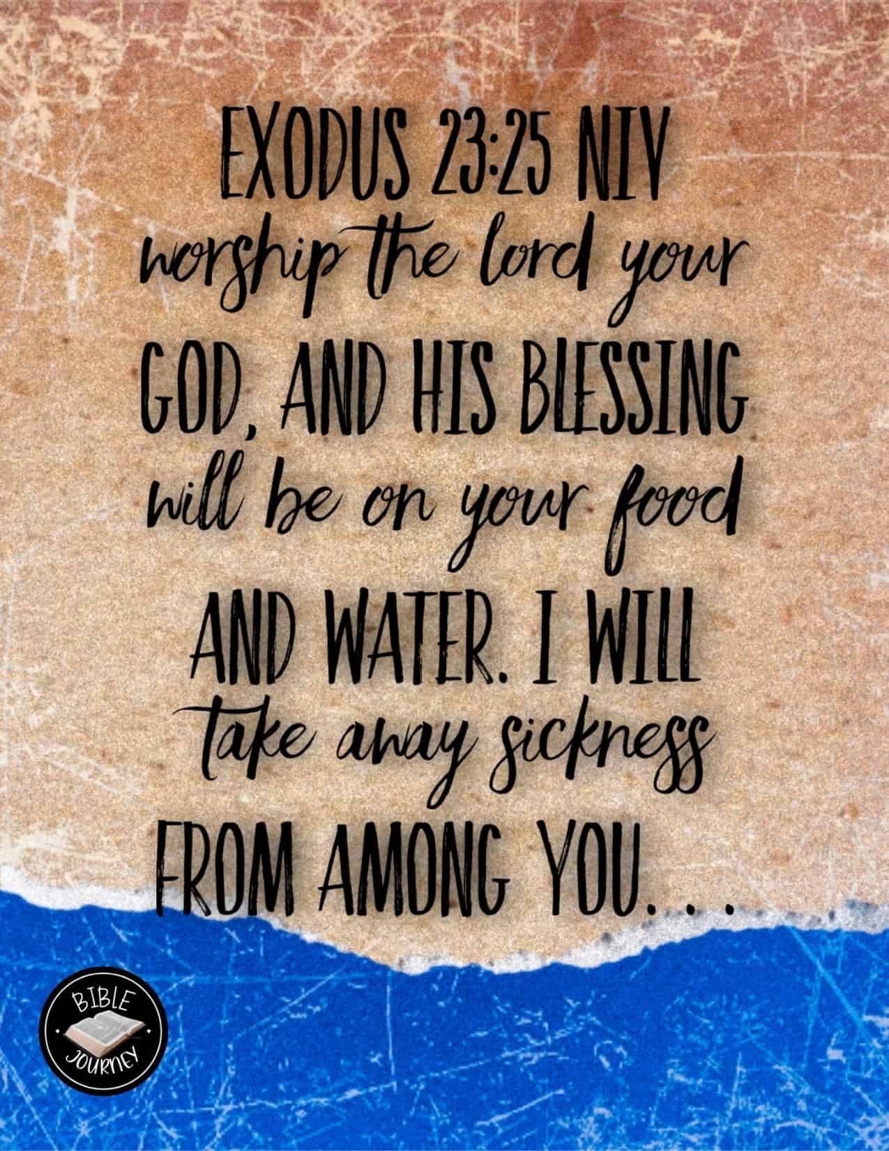 Bible Verse Image About Blessings. Exodus 23:25 NIV
