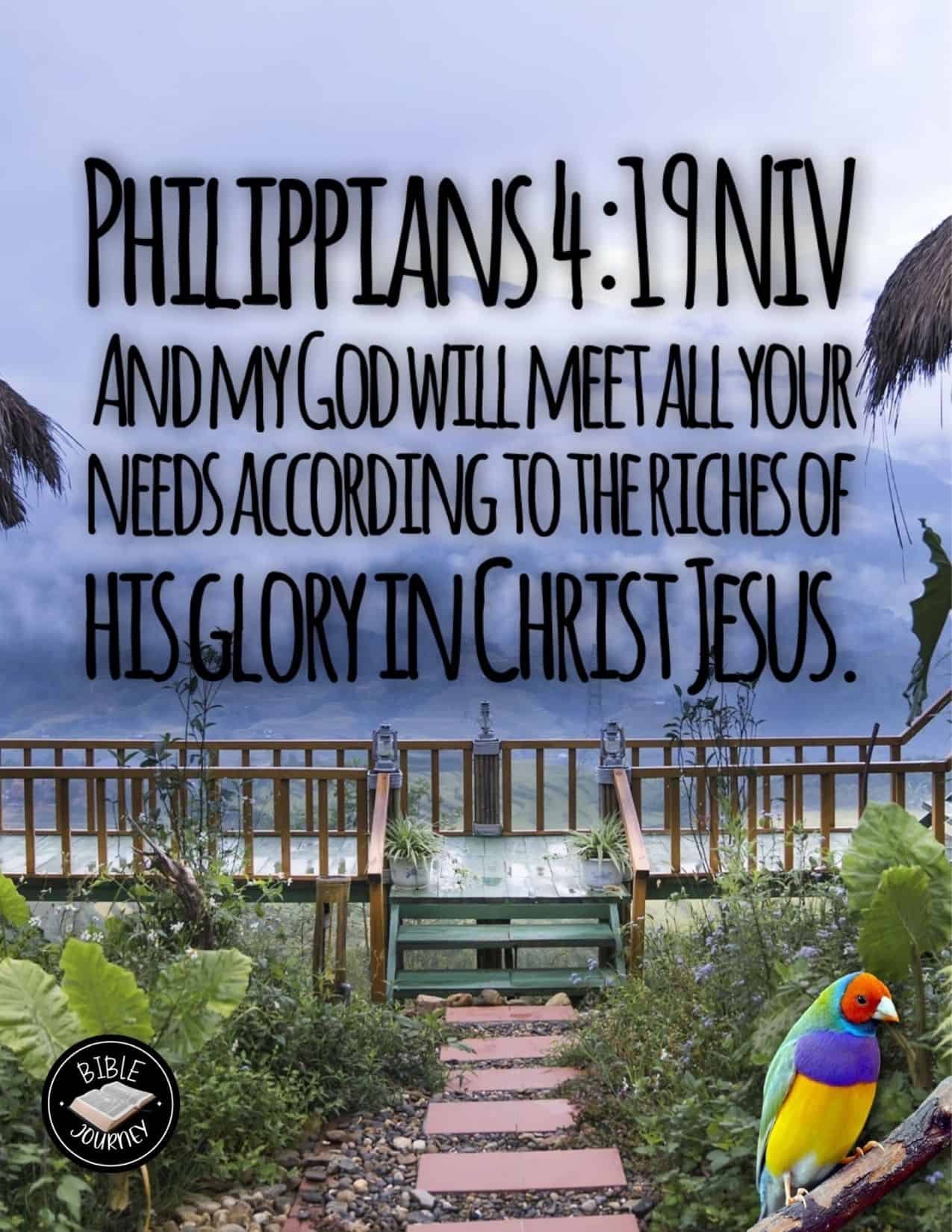 Philippians 4 19 NIV Bible Verse Image About Blessings
