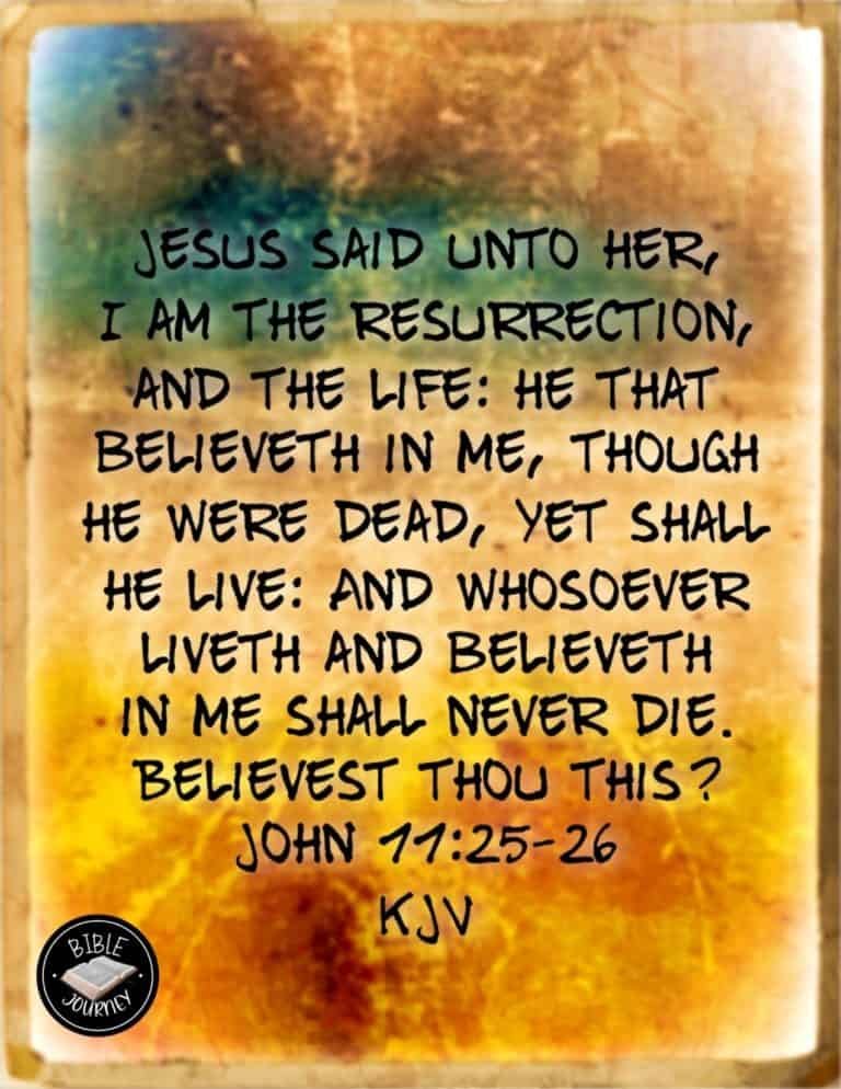 Picture Bible Verses-14 John 11:25-26 KJV - Bible Verse Image for Sharing.