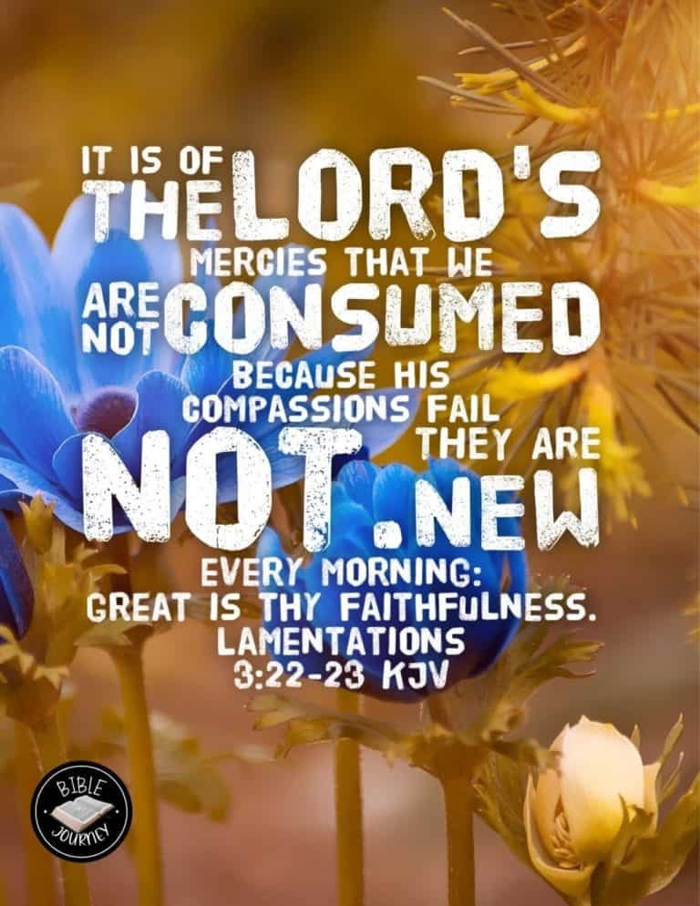 Picture Bible Verses-14 Lamentations 3:22-23 Bible Verse Image - Share the Word!