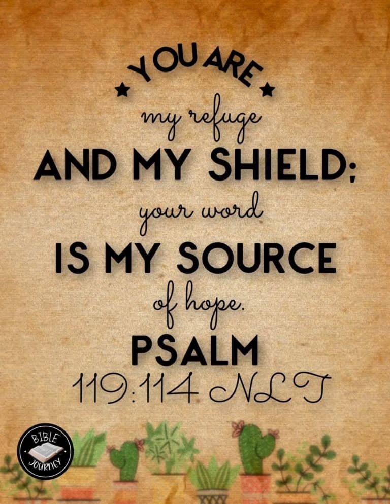 Picture Bible Verses-14 Psalm 119:114 NLT - Bible Verse Image. Spread the Word!