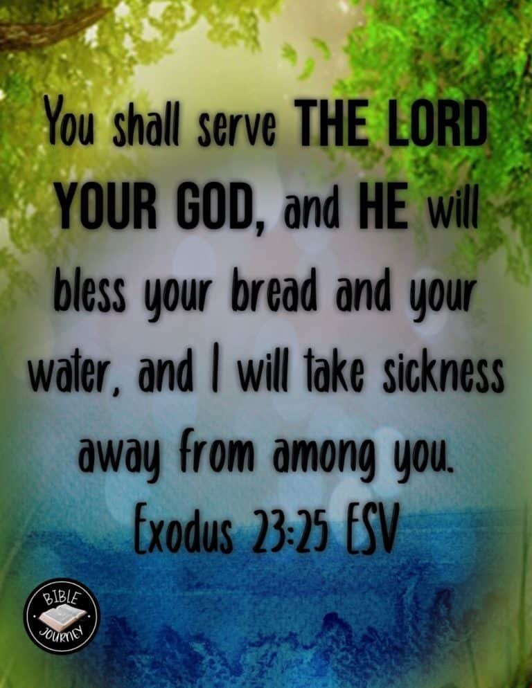 Picture Bible Verses-15 Exodus 23:25 ESV - You shall serve the LORD your God, and he will bless your bread and your water, and I will take sickness away from among you.
