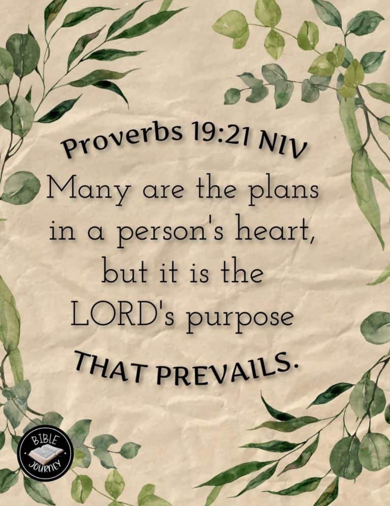 Picture Bible Verses-16 Share a picture bible verse. Use in bible study journals, or make study cards. Postcard sized 4.25x5.5.