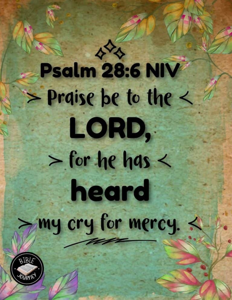 Picture Bible Verses-16 Share a picture bible verse. Use in bible study journals, or make study cards. Postcard sized 4.25x5.5.
