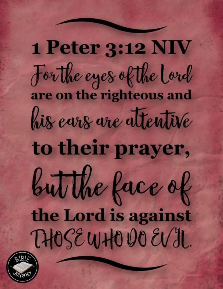 Picture Bible Verses-16 Share a picture bible verse. Use in bible study journals, or make study cards. Postcard sized 4.25x5.5.