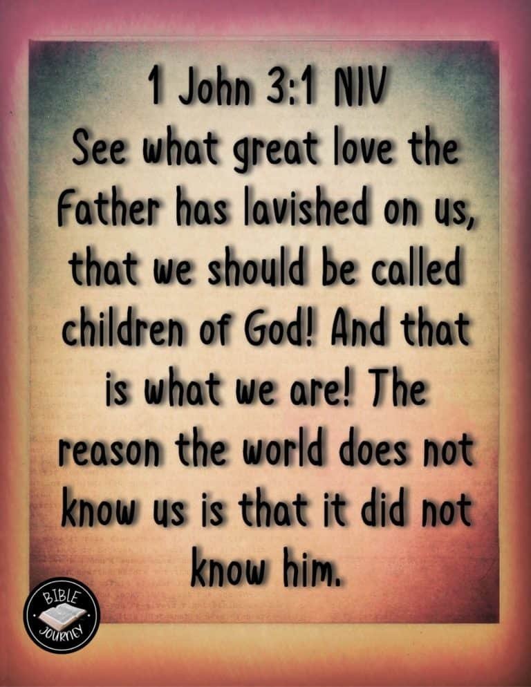 Picture Bible Verses-16 Share a picture bible verse. Use in bible study journals, or make study cards. Postcard sized 4.25x5.5.