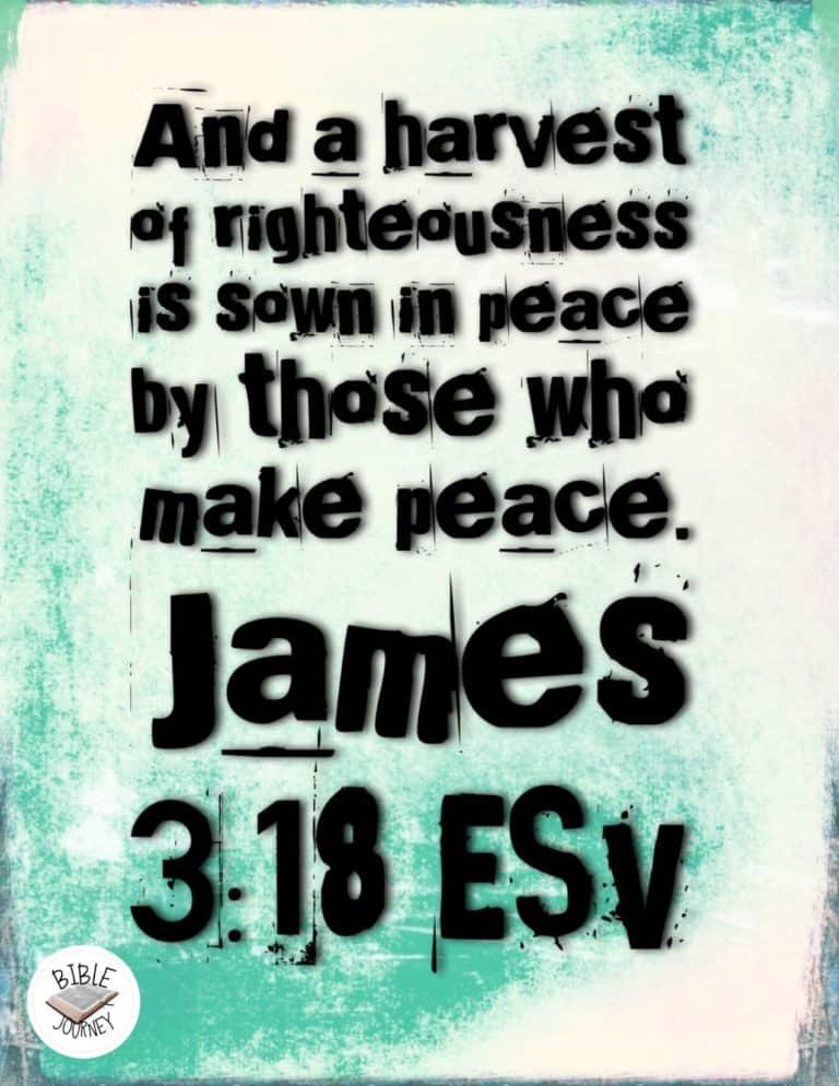Picture Bible Verses-17 Share a picture bible verse. Use in bible study journals, or make study cards. Postcard sized 4.25x5.5.