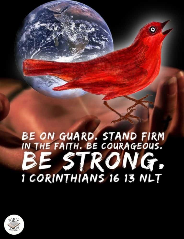 Picture Bible Verses-17 Share a picture bible verse. Use in bible study journals, or make study cards. Postcard sized 4.25x5.5.
