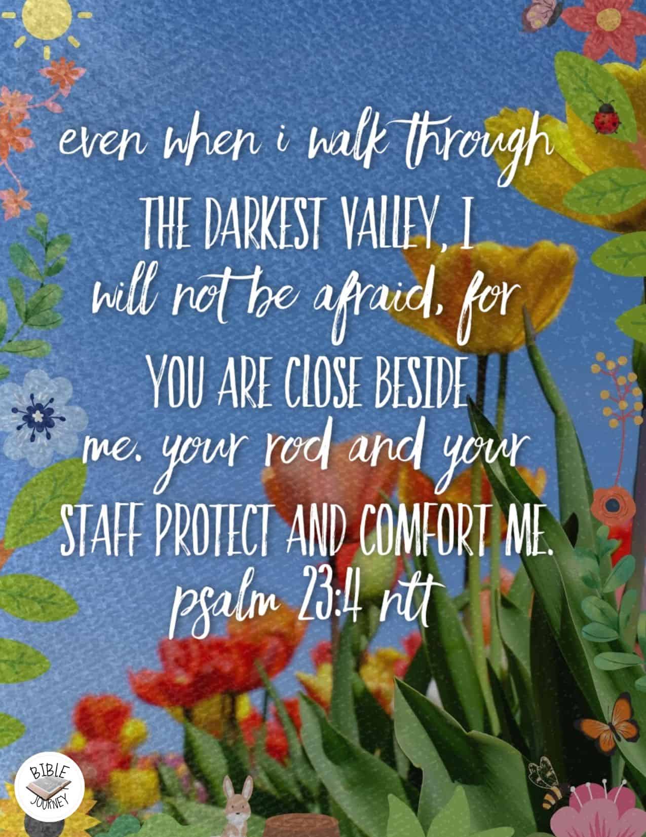 Comforting Bible Verse Image. Psalm 23:4 NLT