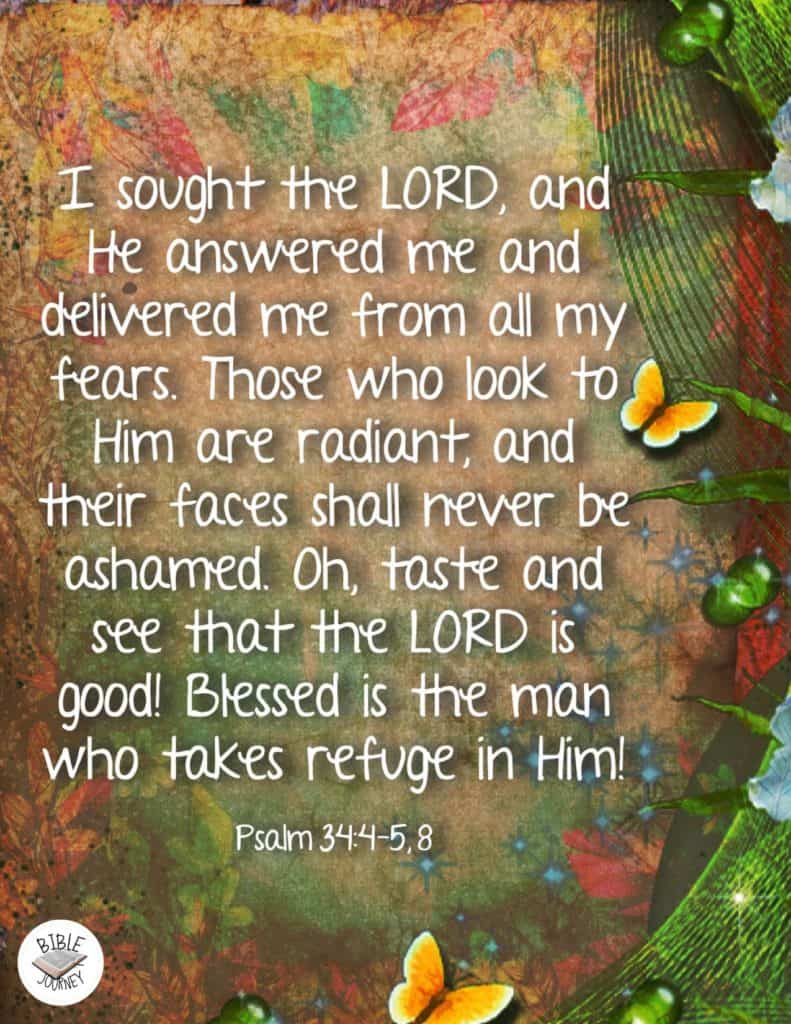 Psalm 34 4 5 Kjv