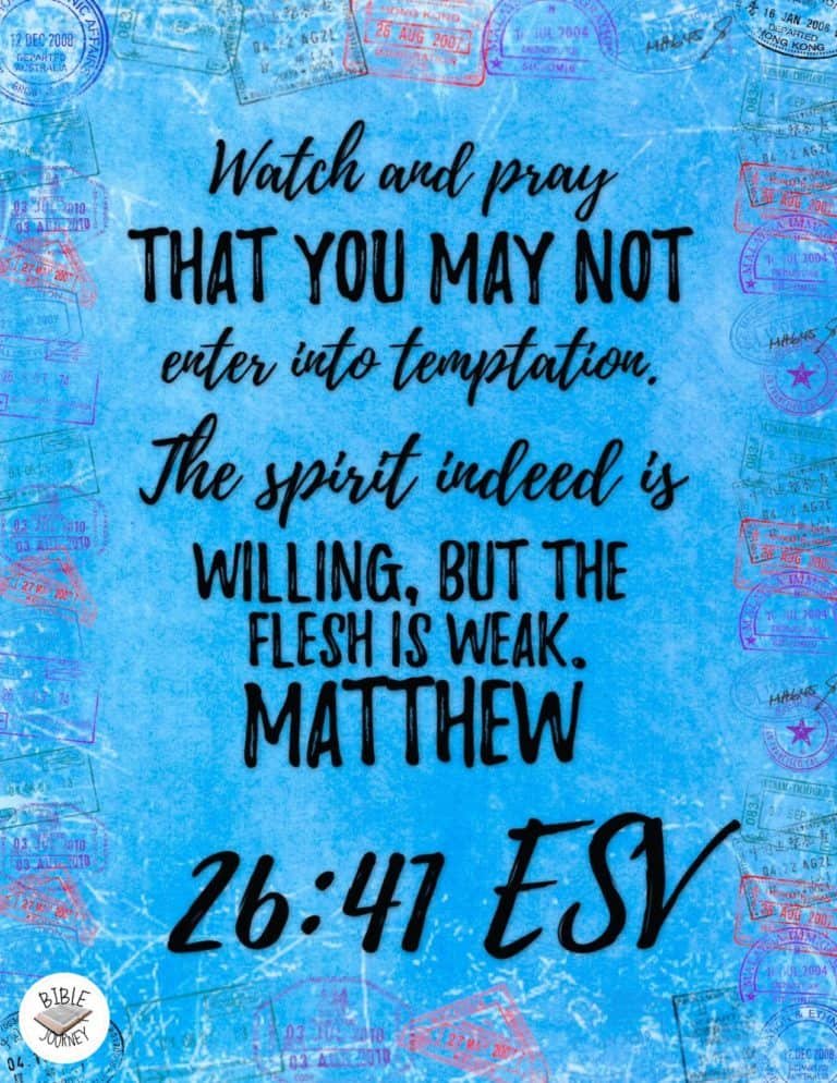 Picture Bible Verses-19 Share a picture bible verse. Use in bible study journals, or make study cards. Postcard sized 4.25x5.5.