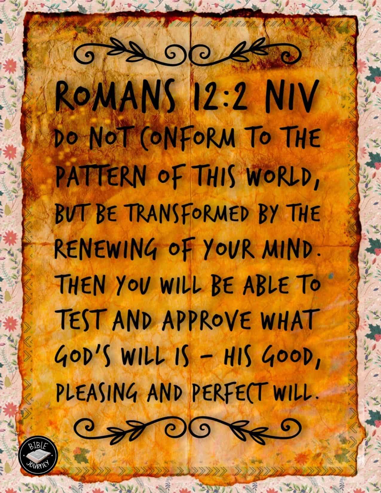 Romans 12 2 NIV Transform Your Mind Through God s Word