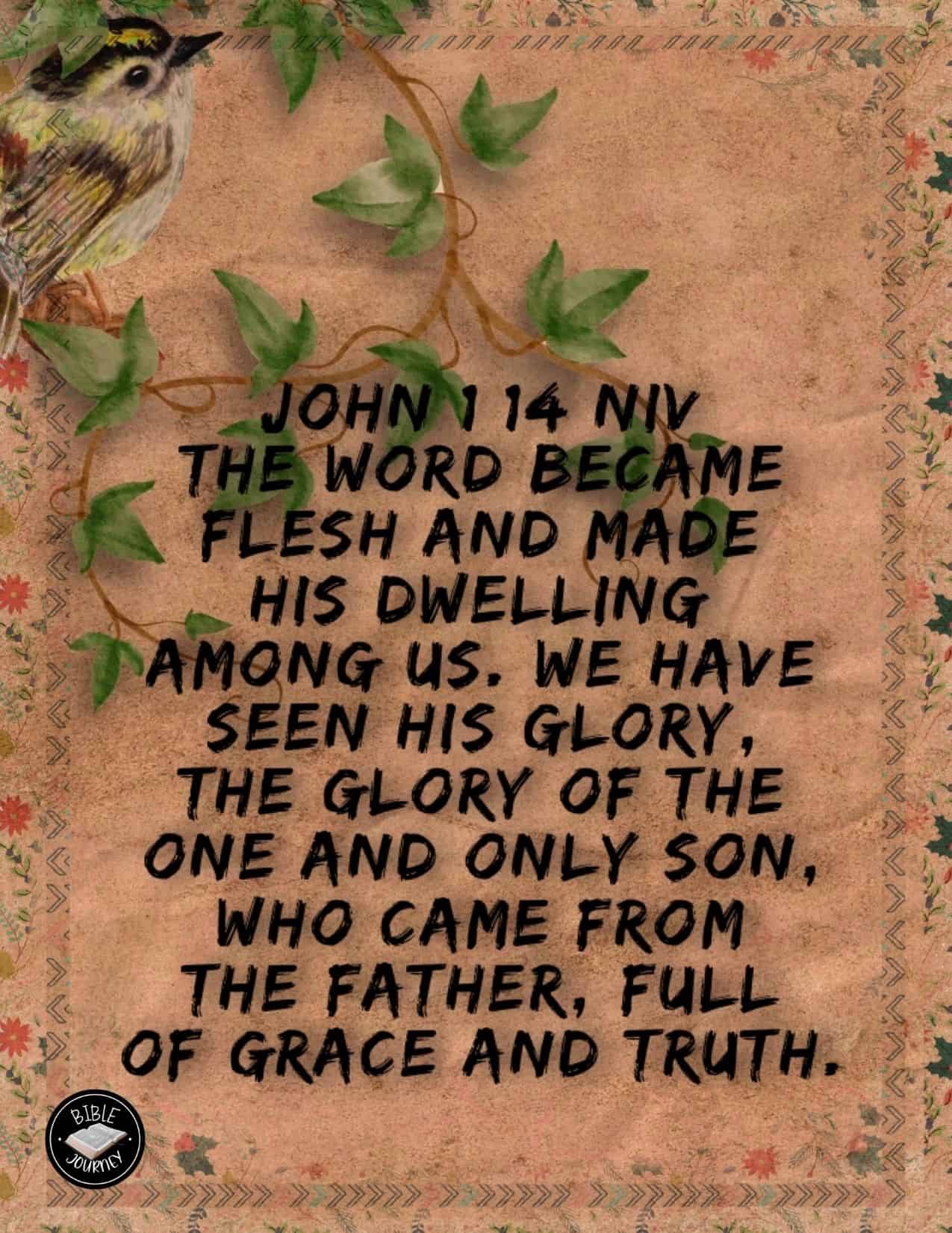 john 1 - 14 message bible