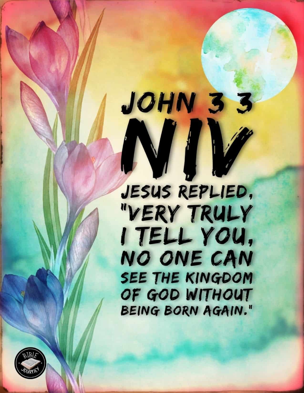 John 3 3 NIV Picture Bible Verse