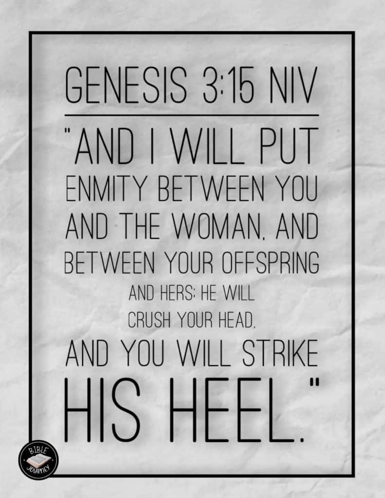 genesis-3-15-niv-picture-bible-verse