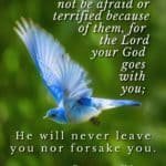 Bible Verse For Dealing with Anxiety, Deuteronomy 31:6 NIV