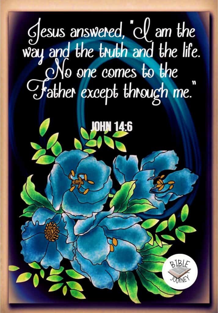 John 14 6 NIV Picture Bible Verses what-does-john-3-13-mean