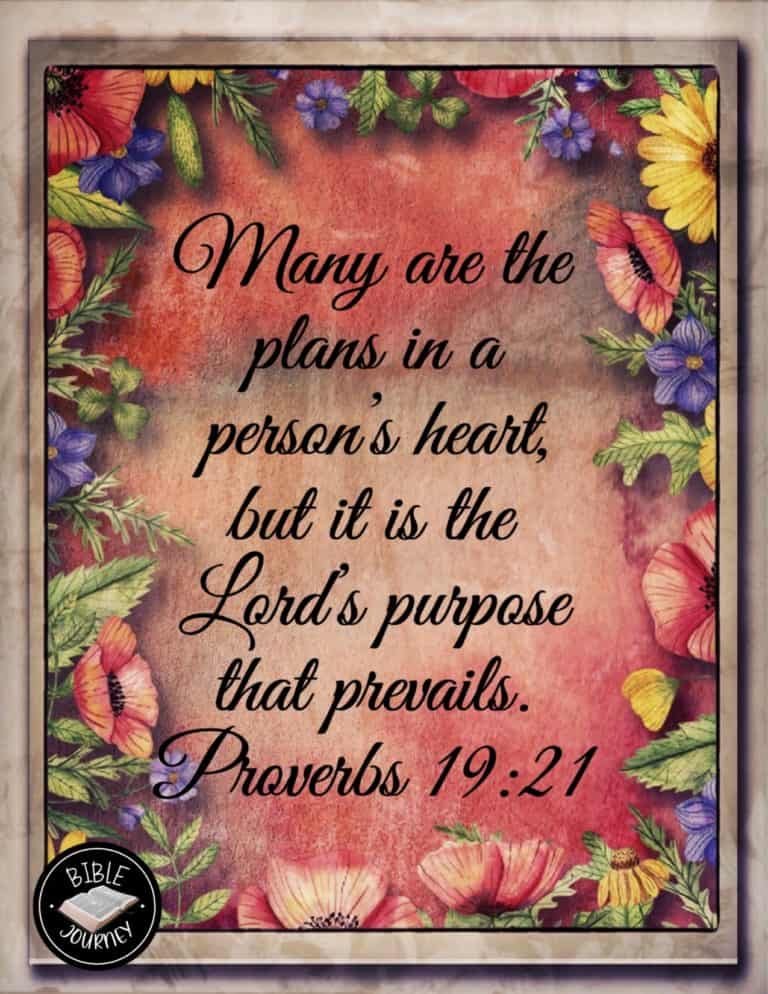 Proverbs 19:21 NIV - Many are the plans in a person's heart, but it is the LORD's purpose that prevails.