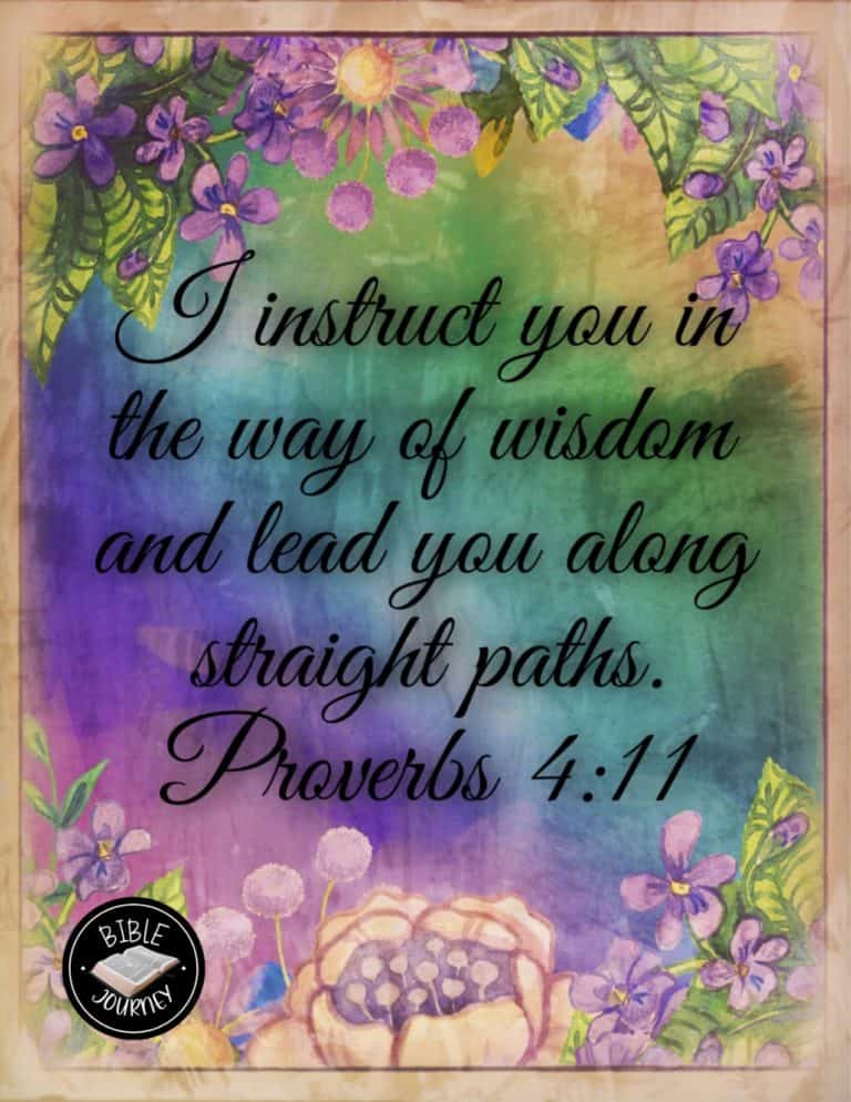 Proverbs 4:11 NIV - I instruct you in the way of wisdom and lead you along straight paths.