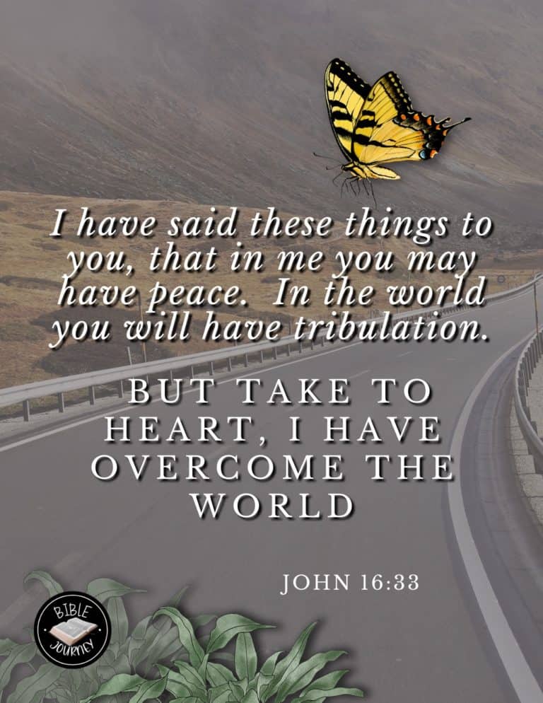 Comforting - Bible Verse John 16:33