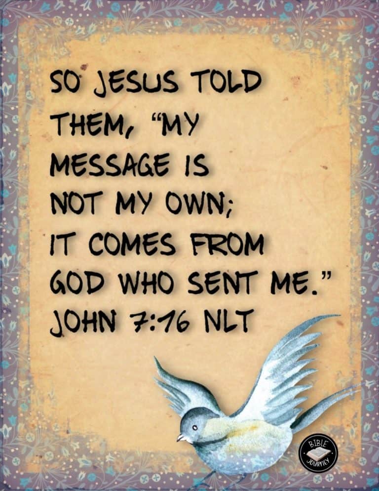 1 john 4 7 16 nlt