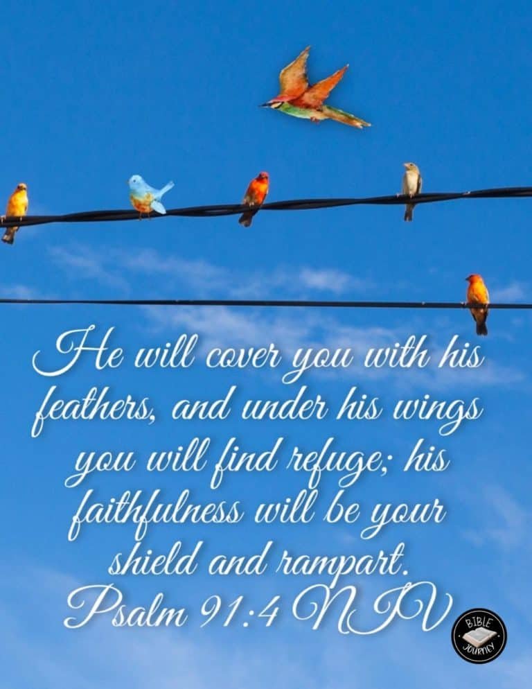 Psalm 91:4 NIV - Bible Verse Image Psalm 91:4 NIV Bible Verse Image