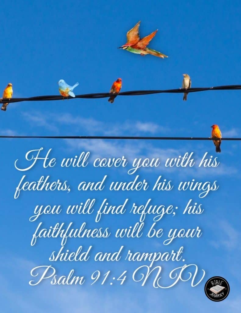 Psalm 91:4 NIV - Bible Verse Image