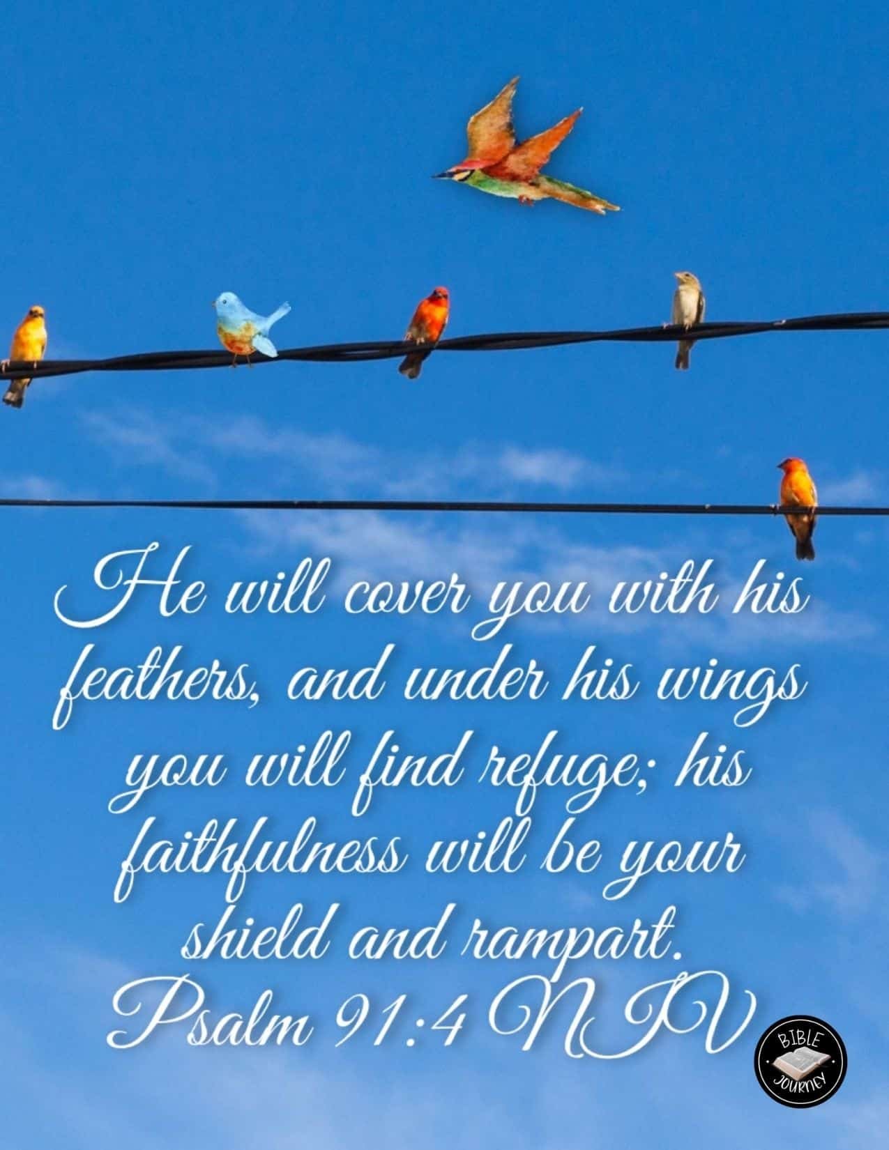 Psalm 91 4 NIV Bible Verse Image