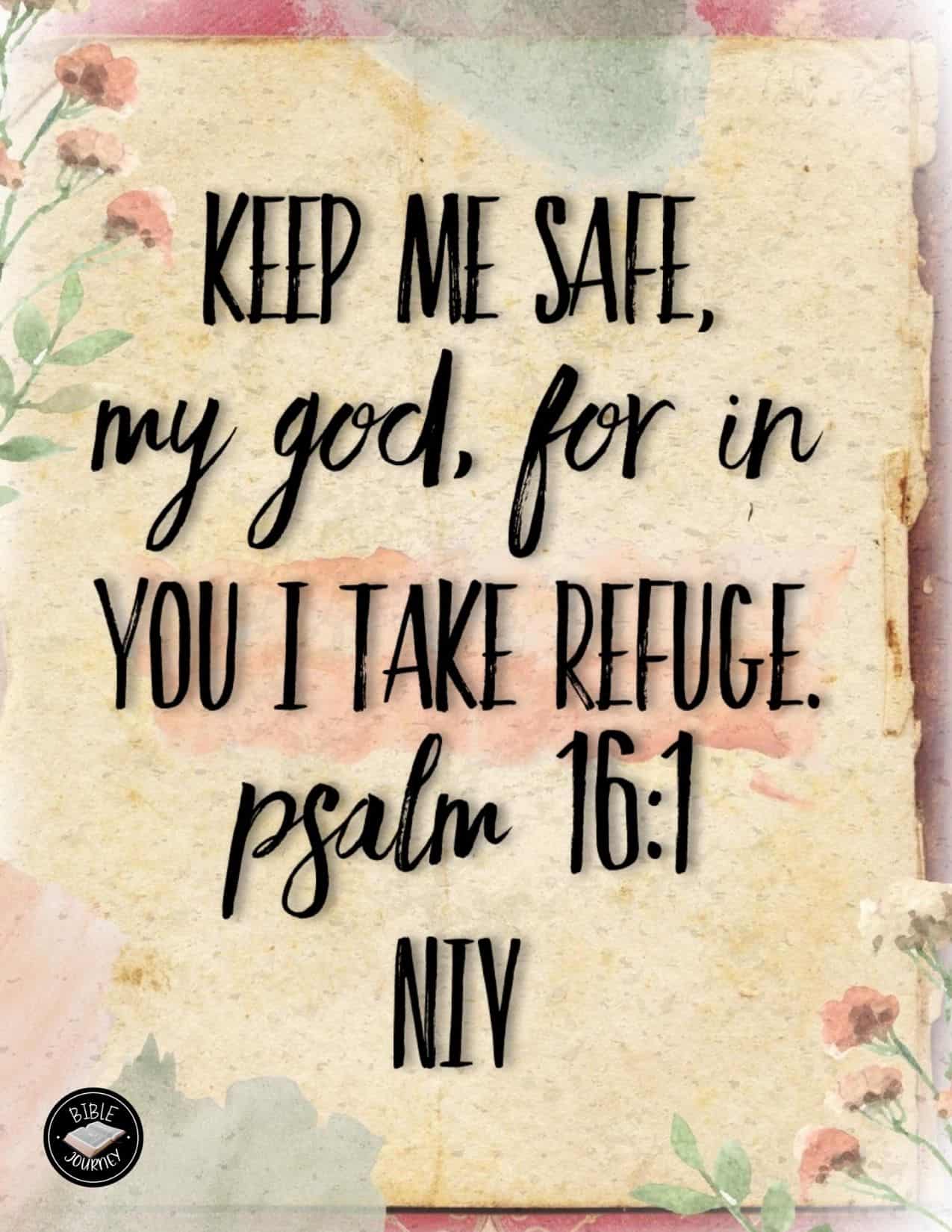 Psalm 16 1 NIV Bible Verse Image Picture Bible Verses psalm-16-1-niv-bible-verse-image-picture-bible-verses