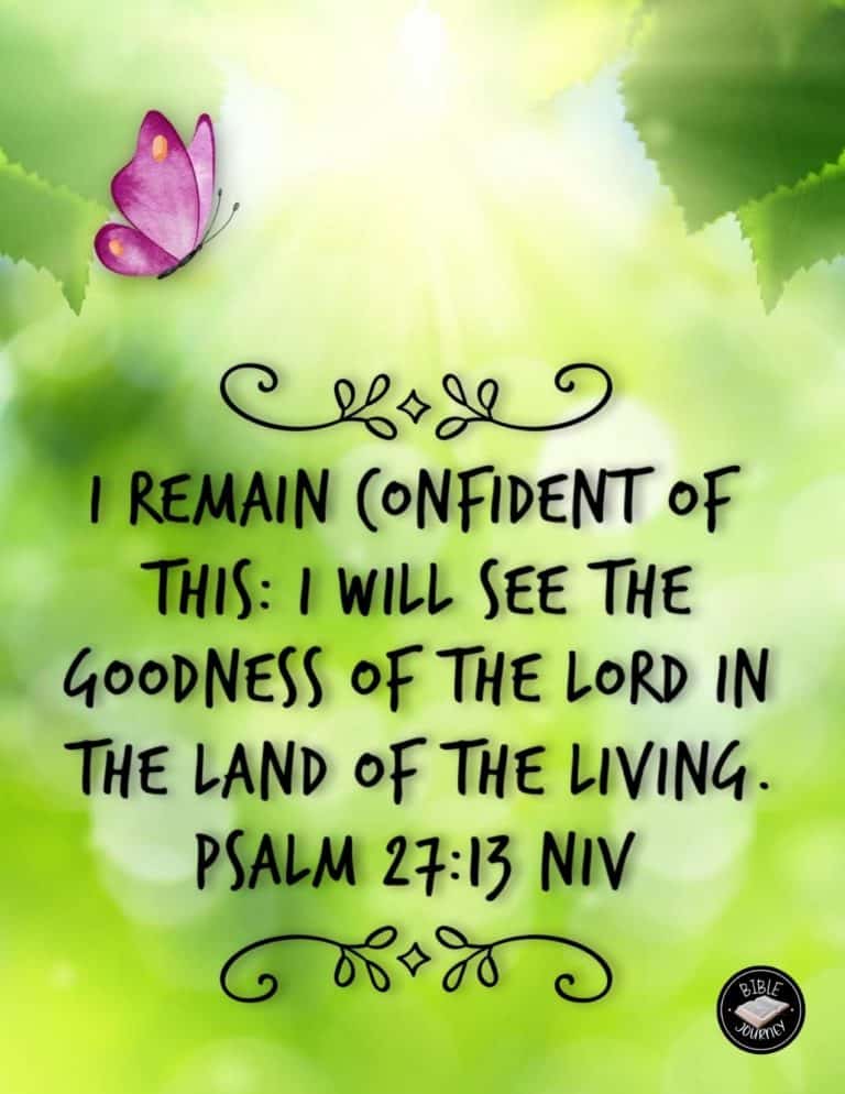 Psalm 27:13 NIV Picture Bible Verse