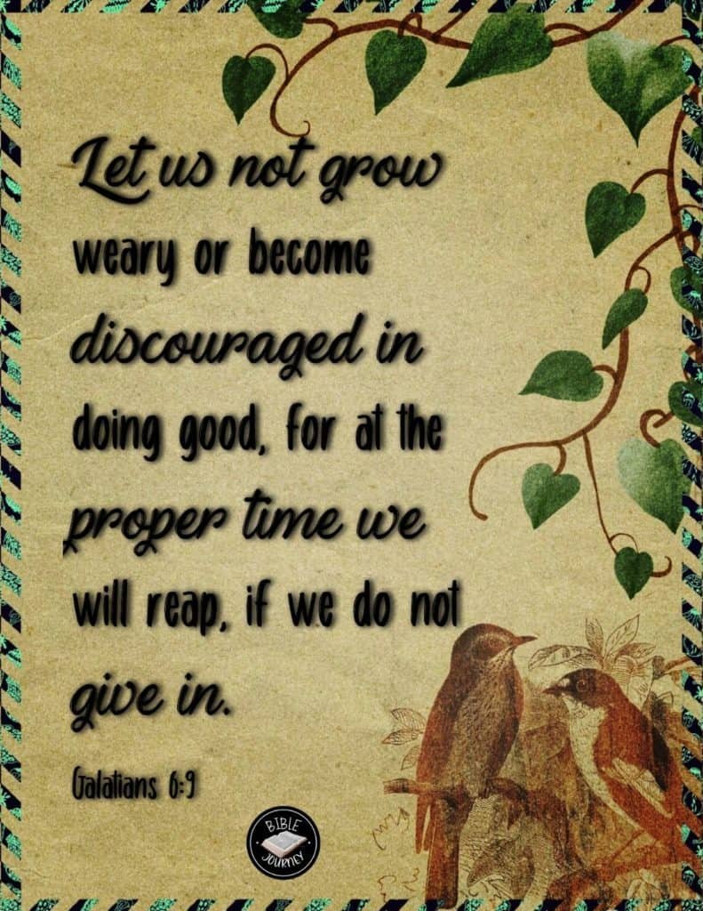 Random Bible Verses: Finding Comfort in God's Word