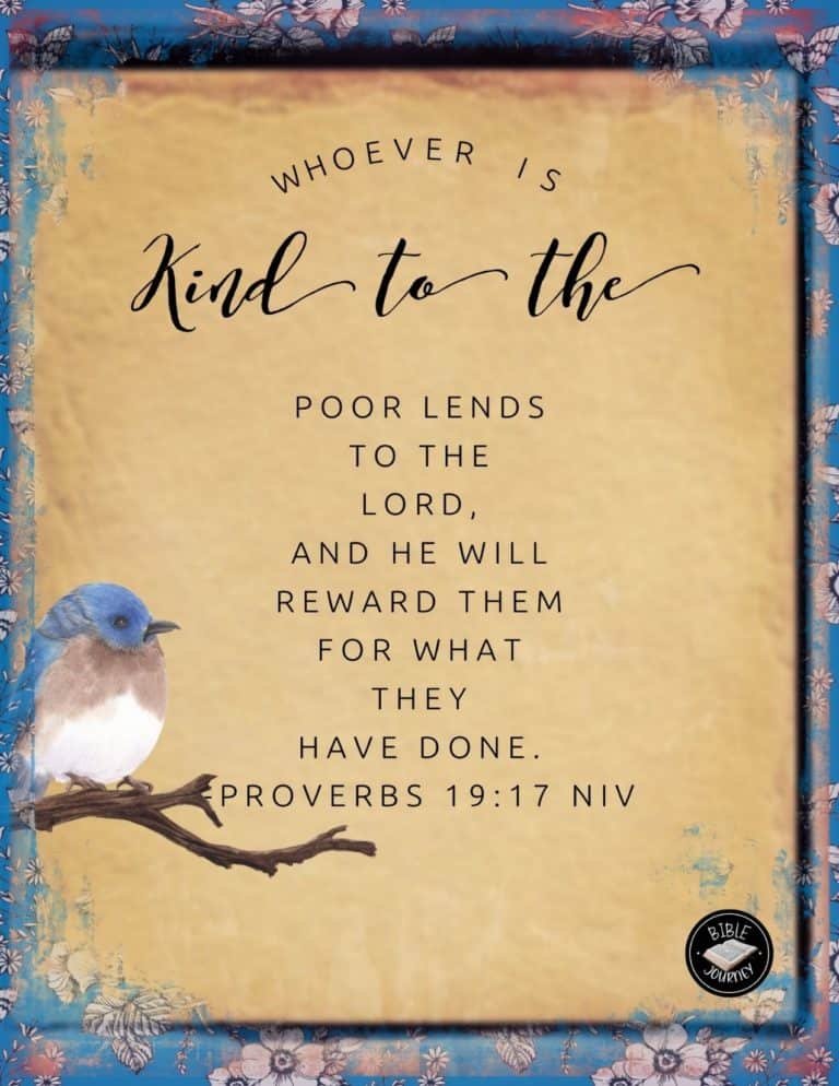 Book of Proverbs 19:17 IV Picture Bible Verse