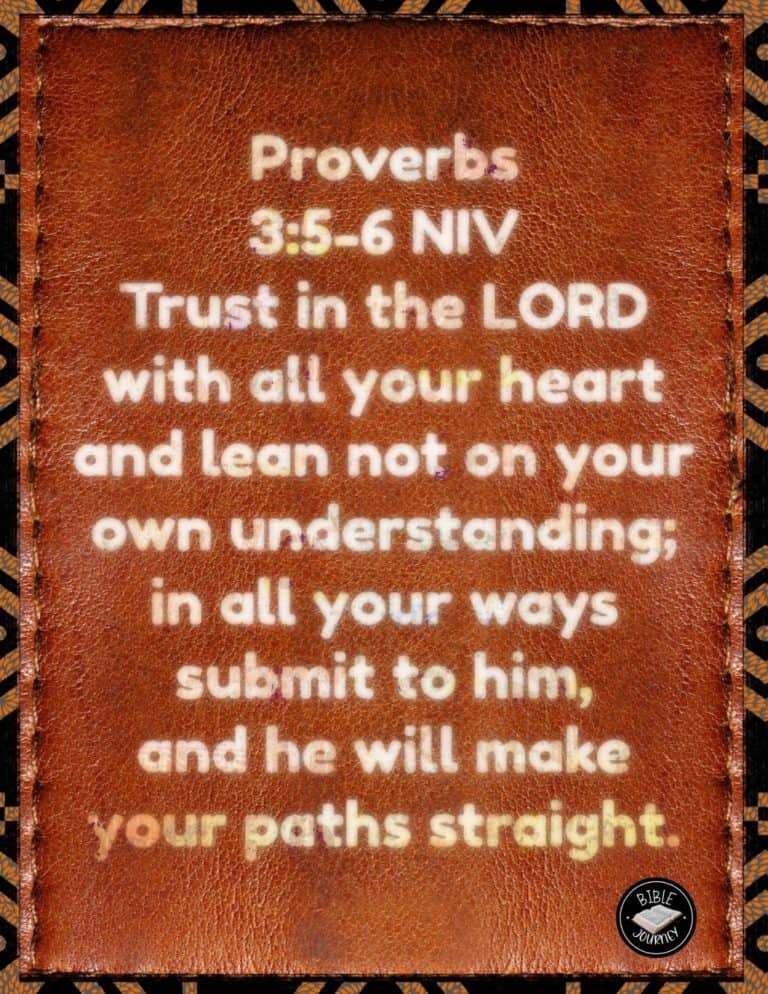 Proverbs 3:5-6 NIV Picture Bible Verse