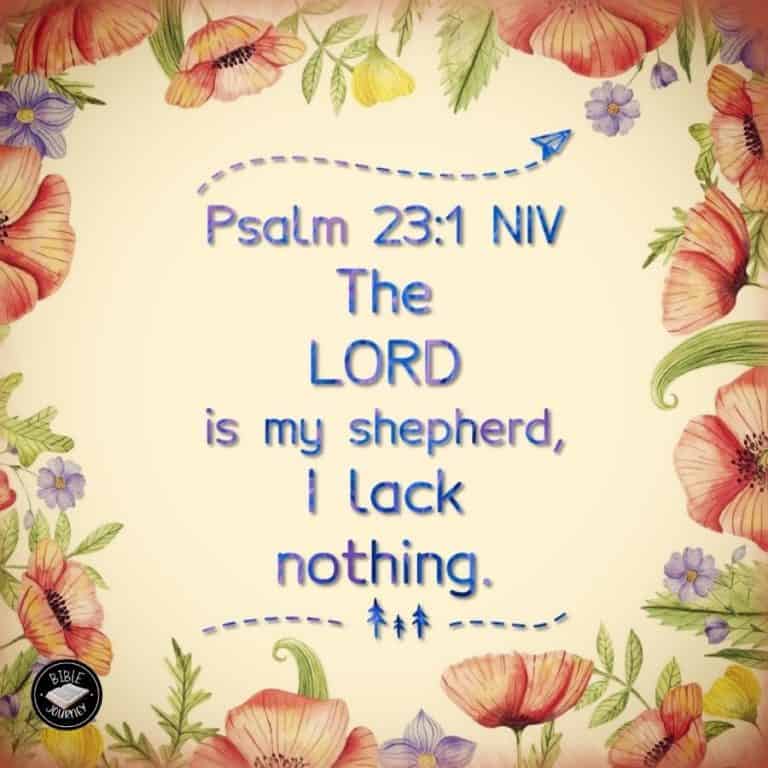 Psalm 23:1 NIV - A psalm of David. The LORD is my shepherd, I lack nothing.