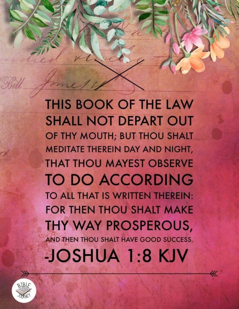 Joshua 1:8 KJV - This book of the law shall not depart out of thy mouth; but thou shalt meditate therein day and night, that thou mayest observe to do according to all that is written therein: for then thou shalt make thy way prosperous, and then thou shalt have good success.
