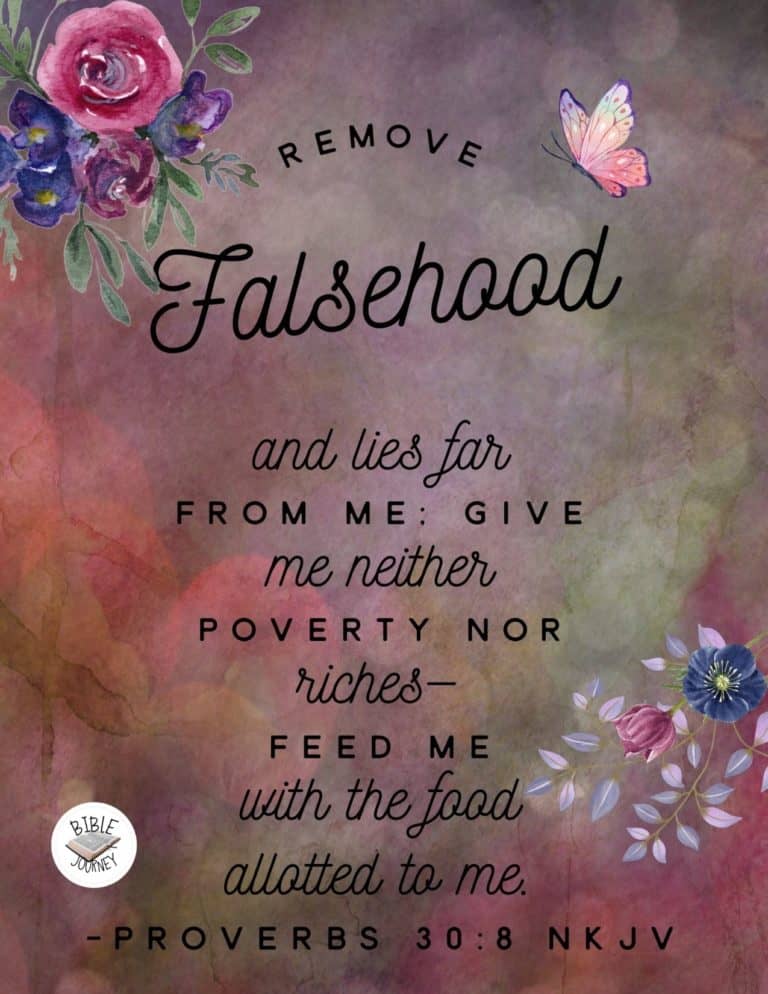 Proverbs 30:8 NKJV - Remove falsehood and lies far from me; Give me neither poverty nor riches--Feed me with the food allotted to me;